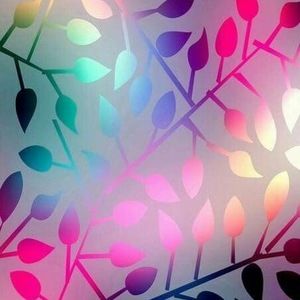 Meet your Posher, Gaby